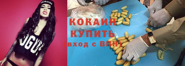 твердый Арсеньев