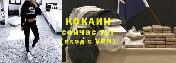 твердый Арсеньев
