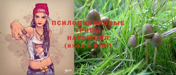 твердый Арсеньев