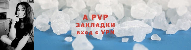 хмурый Покачи
