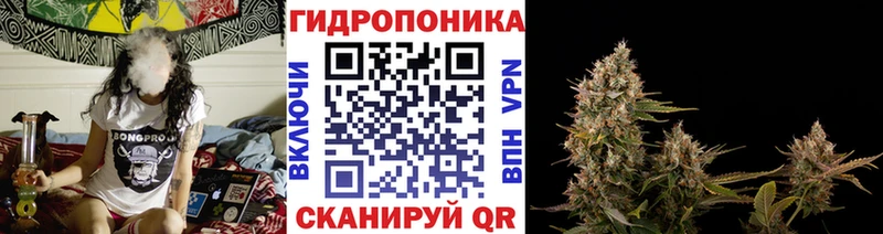Бошки марихуана MAZAR  Ростов 